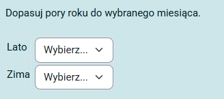 Podgląd pytania typu Dopasowanie